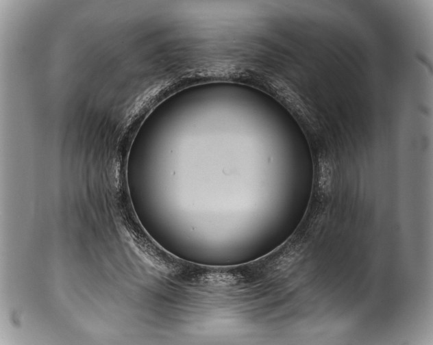 X0000100880636200806201247