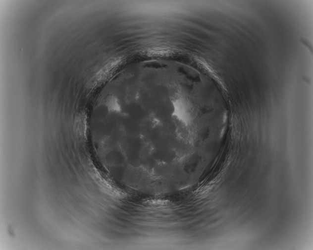 X0000100880637200806201247