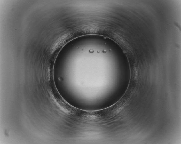 X0000100880638200806201247