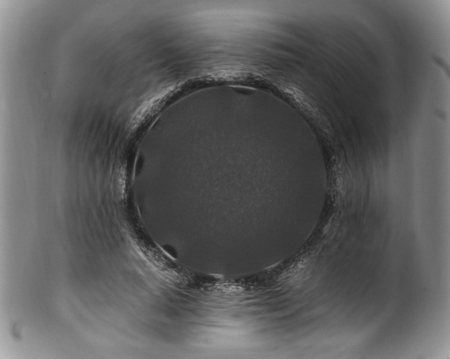 X0000100880640200806201247