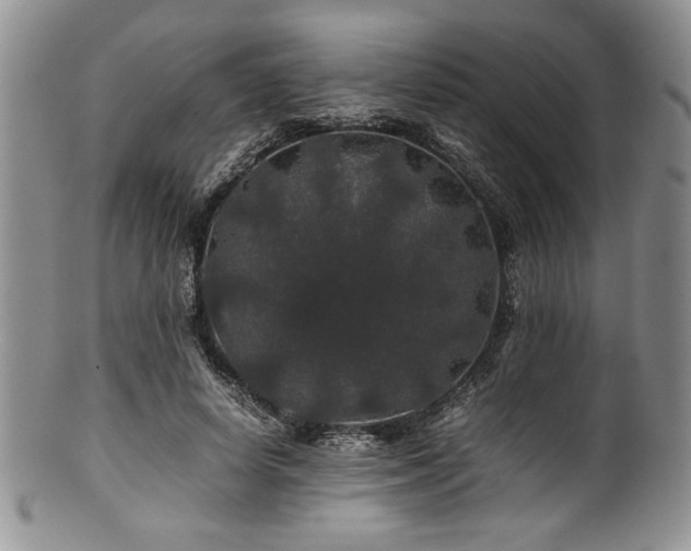 X0000100880642200806201247