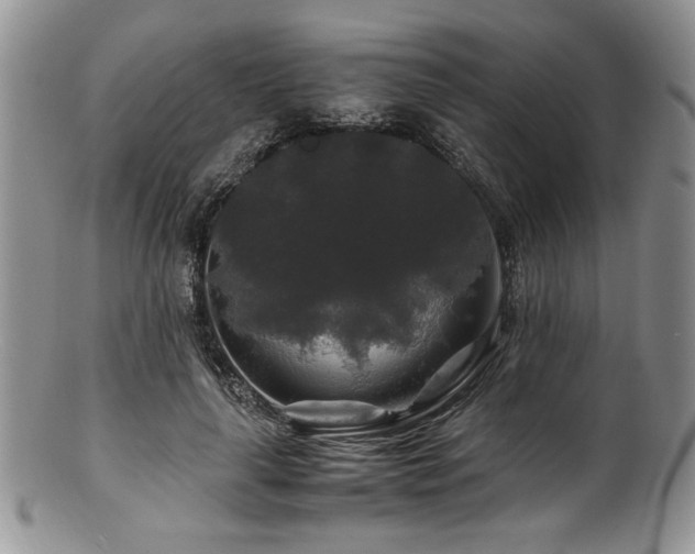 X0000100880643200806201247