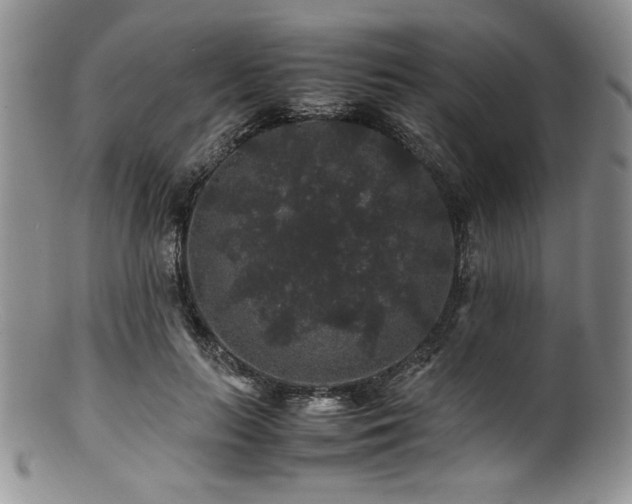 X0000100880647200806201247