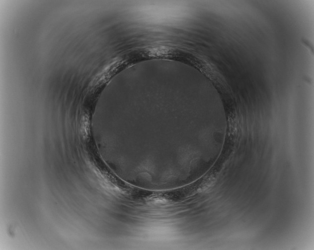 X0000100880648200806201247