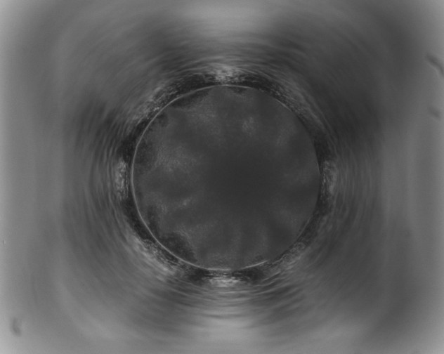 X0000100880650200806201247
