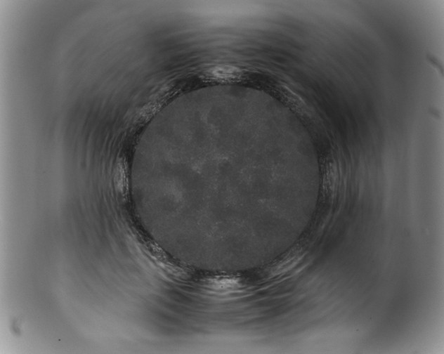 X0000100880651200806201247