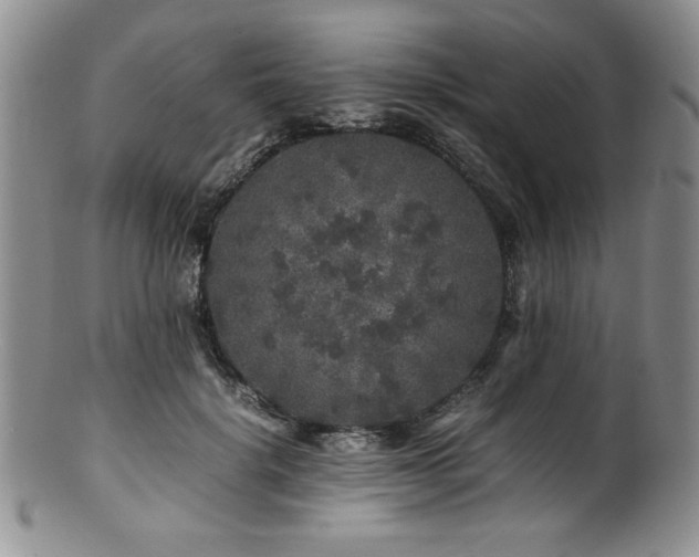 X0000100880652200806201247