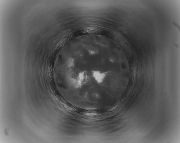 X0000100880653200806201247