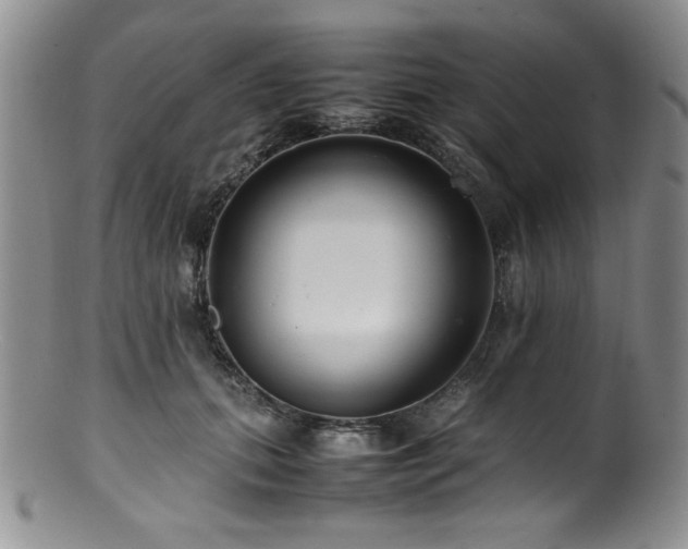 X0000100880655200806201247