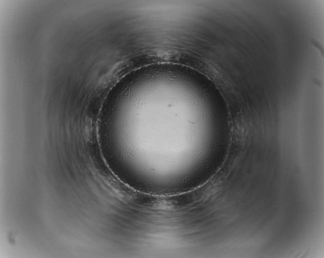 X0000100880656200806201247