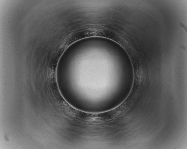 X0000100880657200806201247