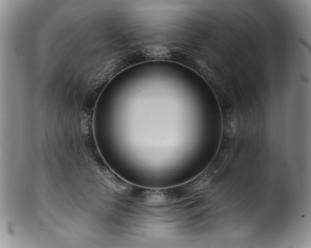 X0000100880658200806201247