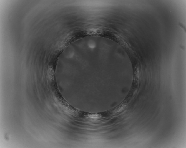 X0000100880659200806201247