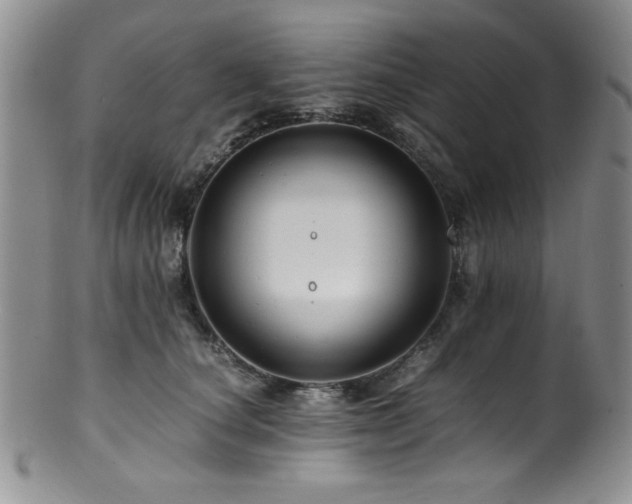X0000100880660200806201247