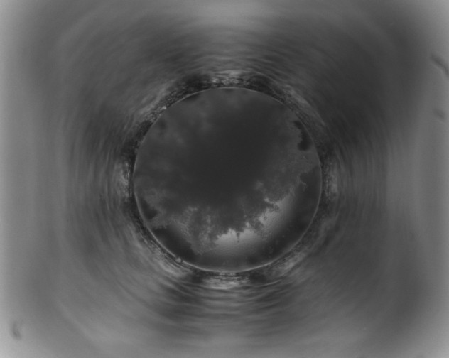 X0000100880661200806201247