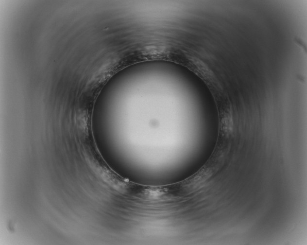X0000100880662200806201247