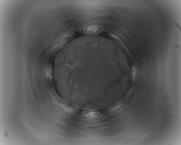 X0000100880663200806201247