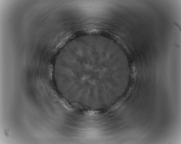 X0000100880664200806201247
