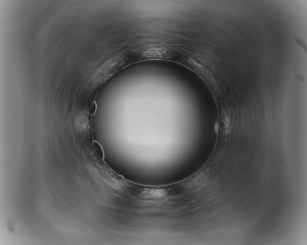 X0000100880665200806201247