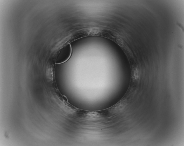 X0000100880666200806201247