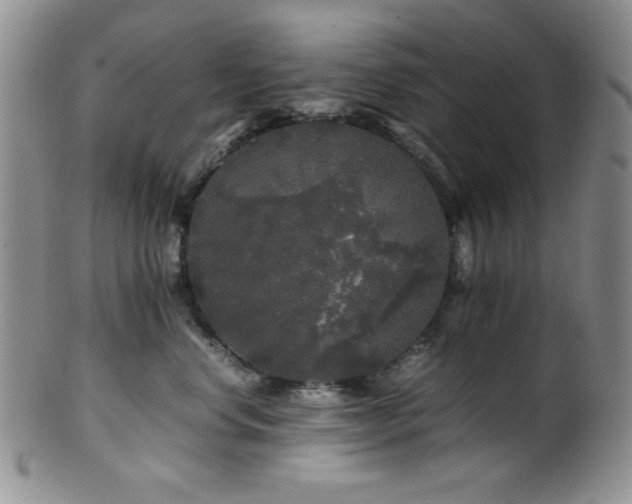 X0000100880668200806201248