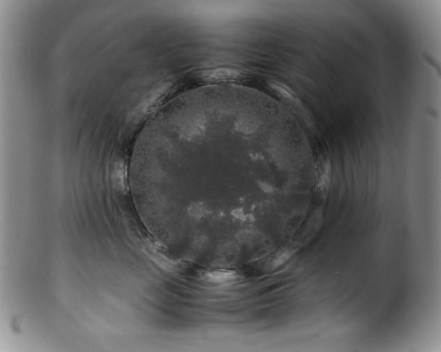 X0000100880669200806201248