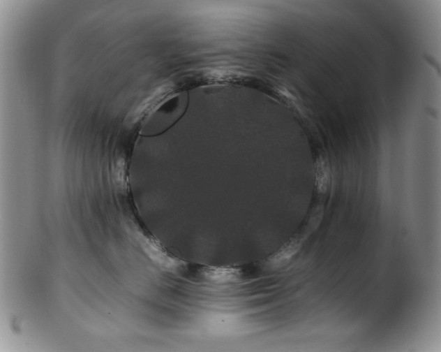 X0000100880670200806201248