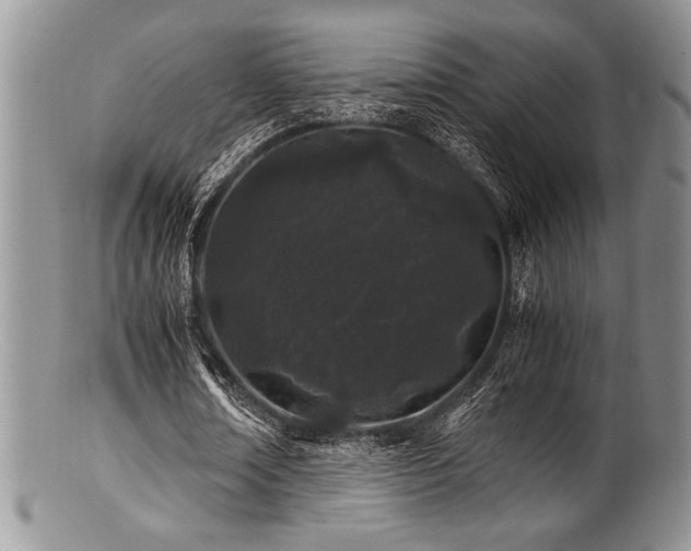 X0000100880674200806201247