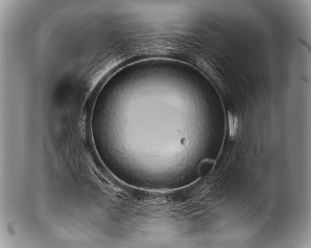 X0000100880675200806201247