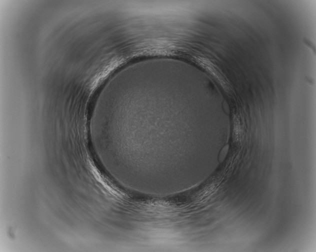 X0000100880677200806201247