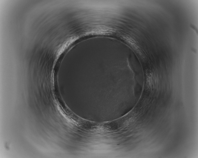 X0000100880678200806201247