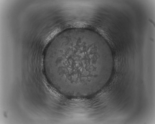 X0000100880679200806201247