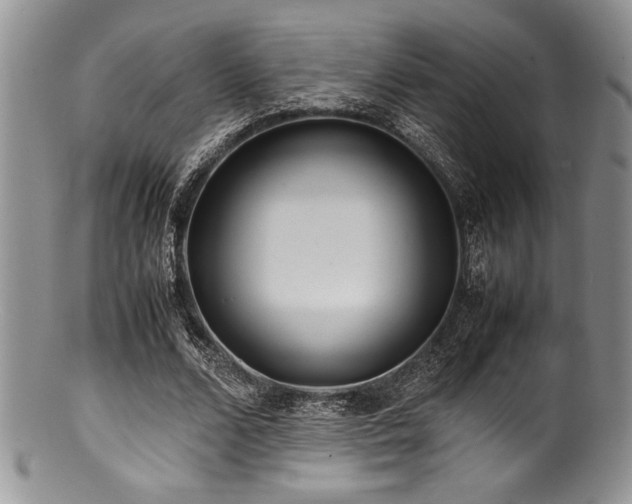 X0000100880680200806201247
