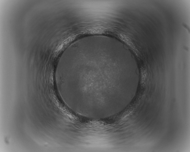 X0000100880681200806201247