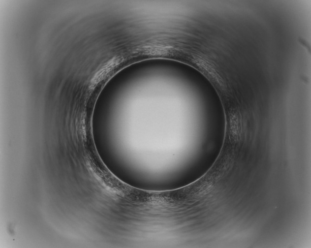 X0000100880682200806201247