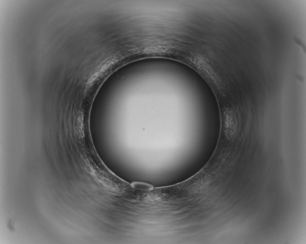 X0000100880684200806201247