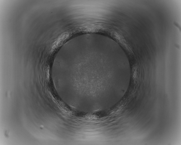 X0000100880685200806201247