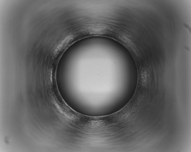 X0000100880686200806201247