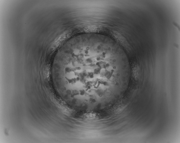 X0000100880687200806201246