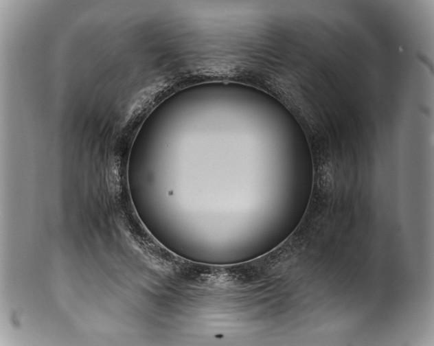 X0000100880688200806201246