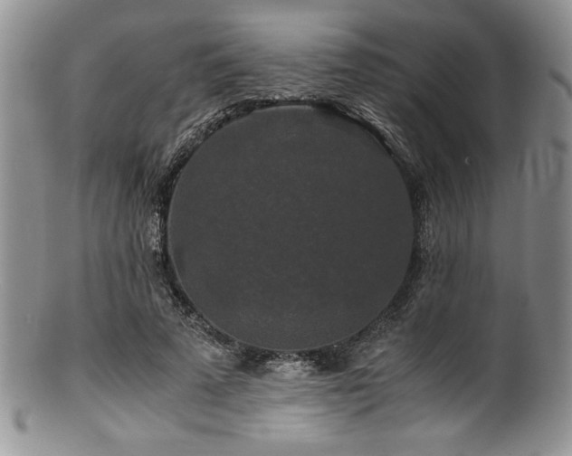 X0000100880689200806201246
