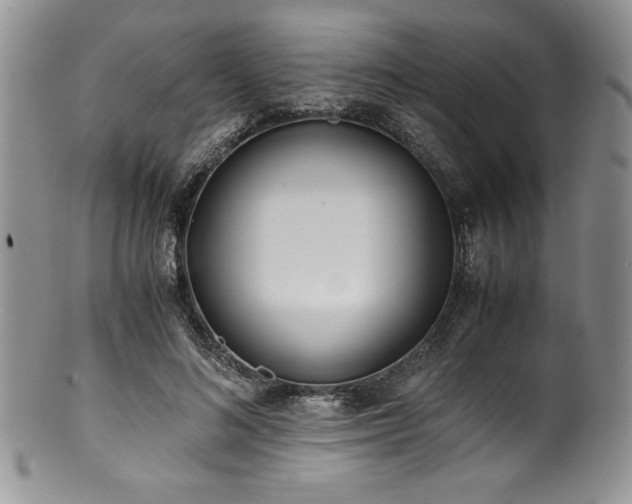 X0000100880692200806201246