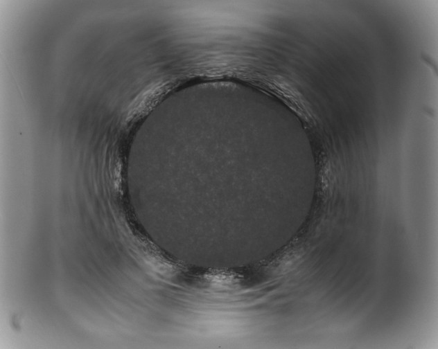 X0000100880693200806201246