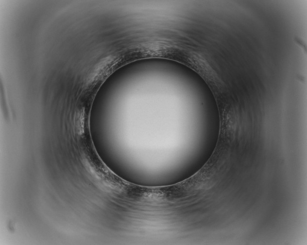 X0000100880694200806201246