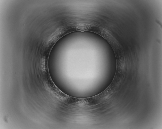 X0000100880696200806201246