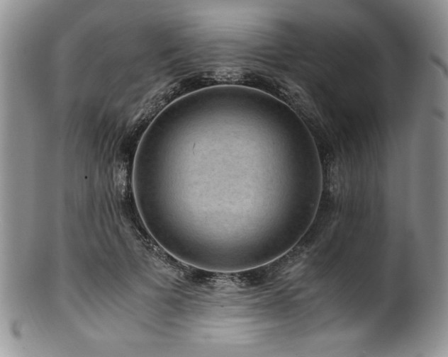 X0000100880697200806201246