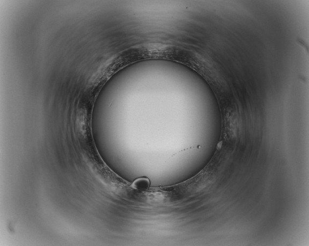 X0000100880698200806201246