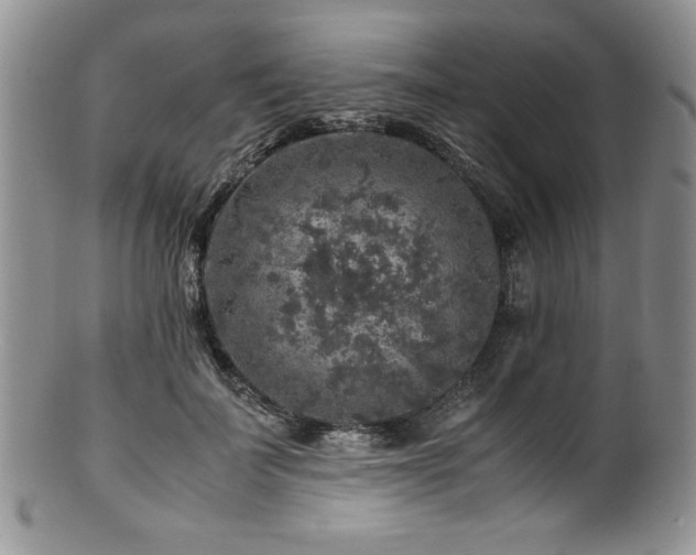 X0000100880699200806201246