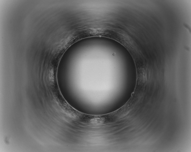 X0000100880700200806201246