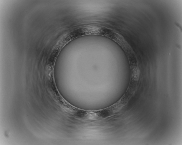 X0000100880701200806201246